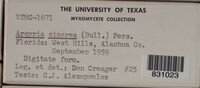 Image Associated With the Occurence